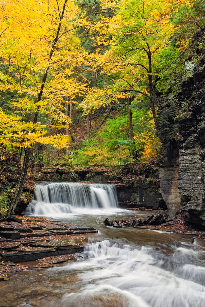 Fillmore Glen State Park in the fall with yellow leaves along the trail