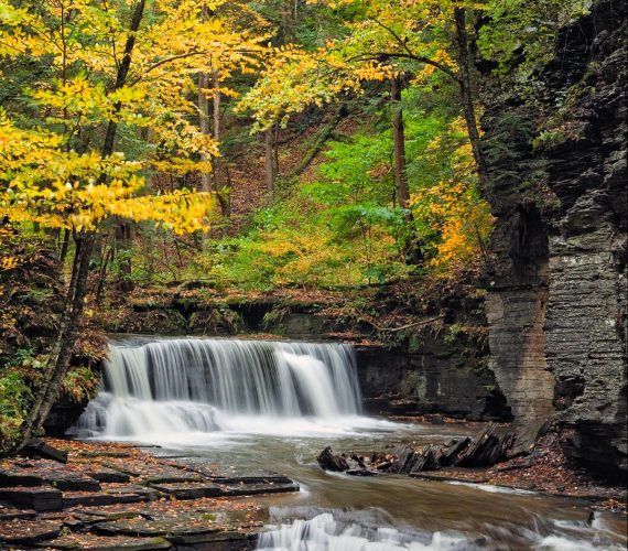 The 5 Best Parks To See Fall Color In The Finger Lakes Region