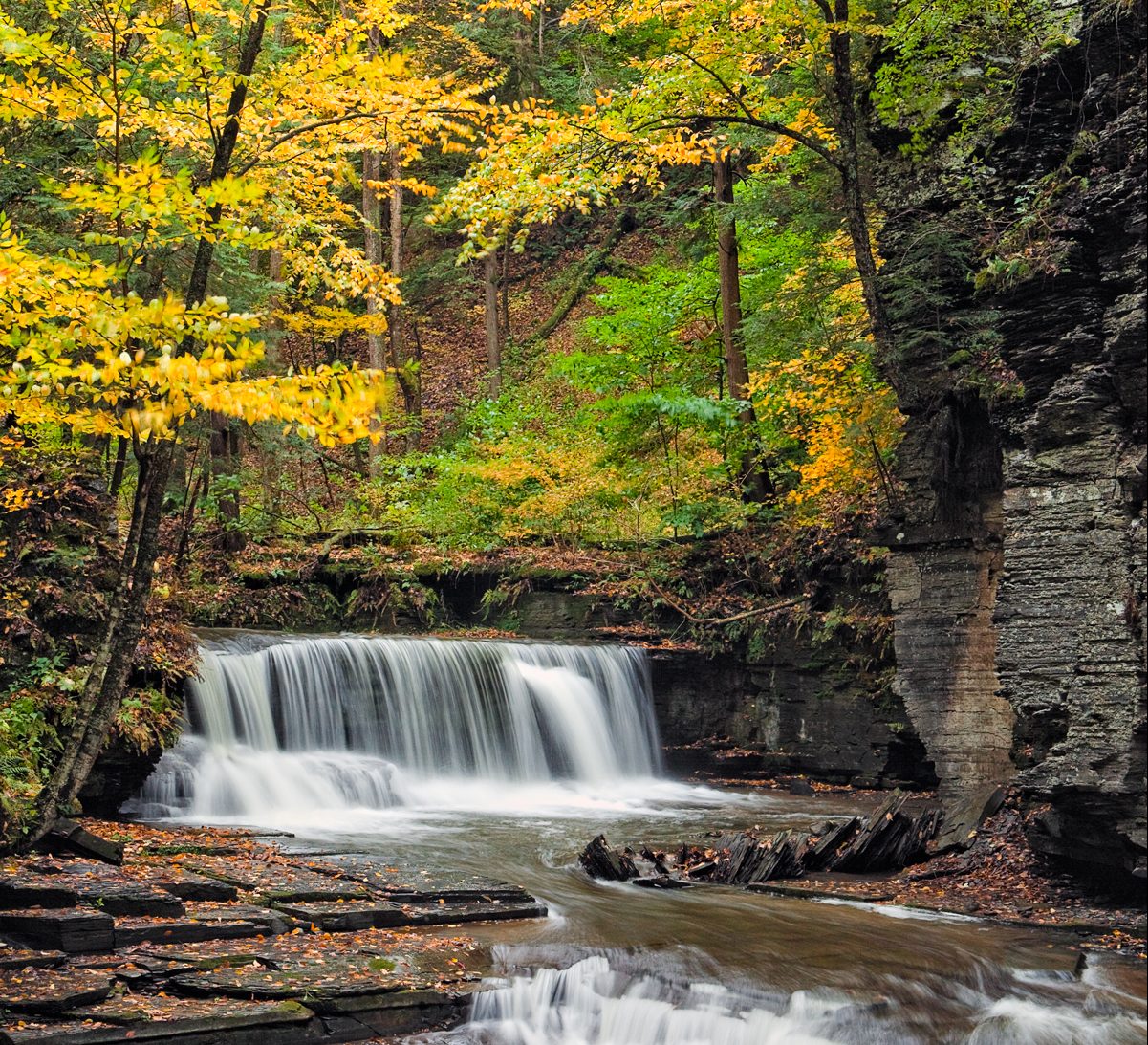 Fillmore Glen State Park in the fall with yellow leaves along the trail